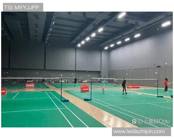 羽毛球个人能力排行榜揭晓深圳羽毛球队荣登第六名引发关注